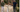 Ab ins Grüne: Waldbaden mit Kindern
