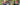XGo3 Dschungel - Wilkommen in unsehem dschungel